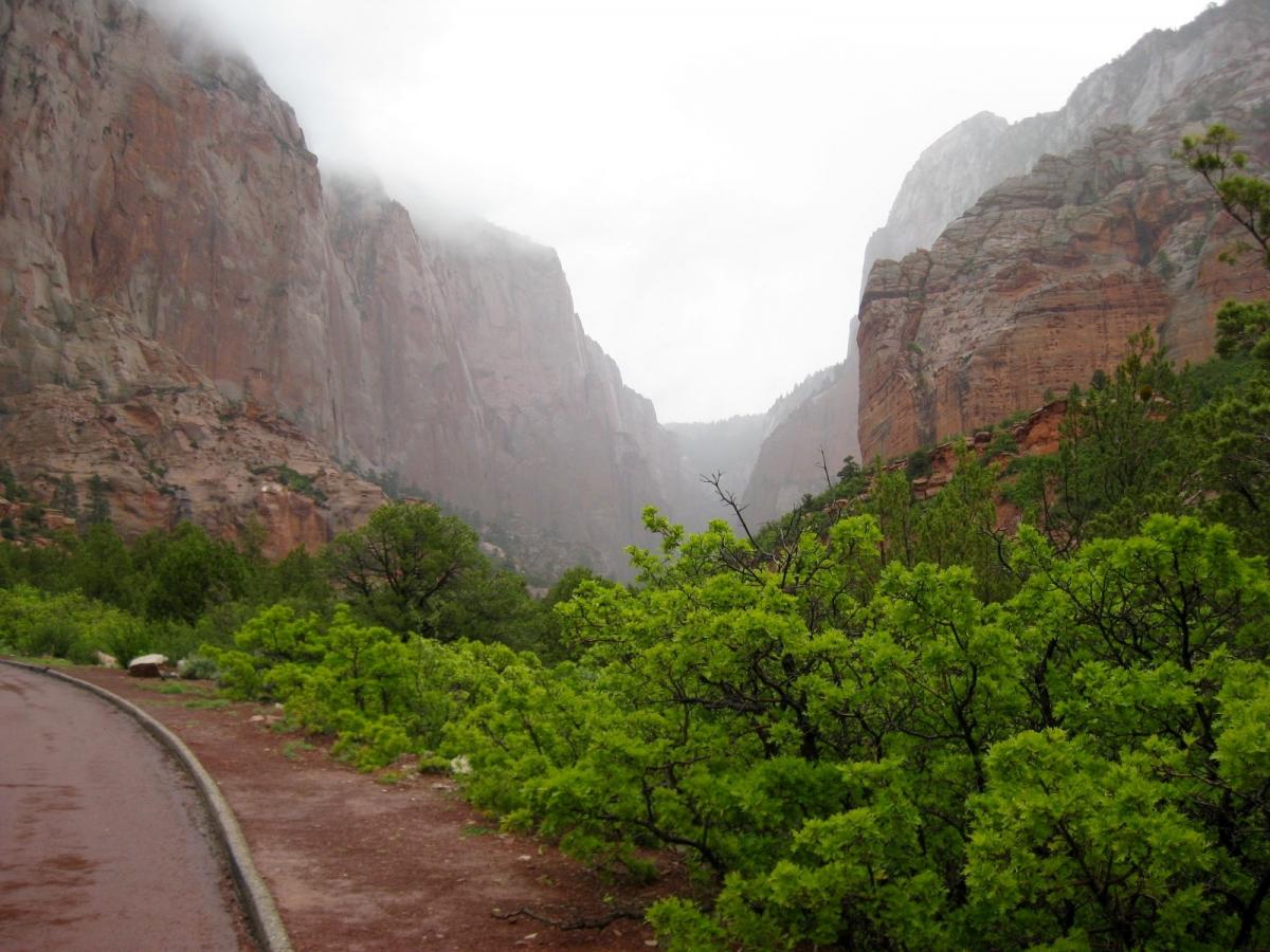 zion-kolob-canyon-