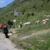 Moto Ruta d918--col-d-aspin- photo