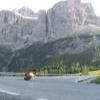 Ruta Moto ss243--passo-di- photo