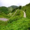 Ruta Moto monte-zoncolan--sp123- photo