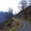 Ruta Moto fos--melles-- photo