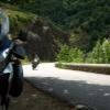 Ruta Moto d901--les-vans- photo