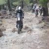 Moto Ruta katharo--males- photo