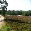 Moto Ruta n310--n795-nunspeet- photo
