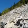 Moto Ruta calgary-out-1a-to- photo