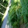 Ruta Moto d268--col-de- photo