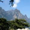 Ruta Moto d268--col-de- photo