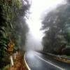 Ruta Moto grafton-rd--hernani-nymboida- photo