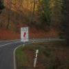 Ruta Moto b48--annweiler-- photo