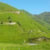 Motorcycle Road d618--col-de- photo