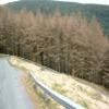 Moto Ruta a483--llandovery-- photo