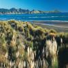 Ruta Moto hamilton-tour--raglan- photo
