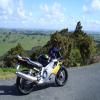 Moto Ruta kaipara-to-leigh- photo