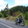 Ruta Moto pokeno-to-raglan-the- photo