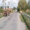 Moto Ruta babadag--murighiol-- photo