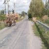 Ruta Moto babadag--murighiol-- photo
