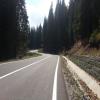 Ruta Moto dn67c--transalpina-- photo