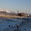 Ruta Moto alaska--tour-from- photo