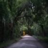 Ruta Moto charleston--edisto-island- photo