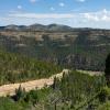 Ruta Moto nm24--weed-- photo