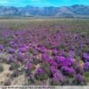 Ruta Moto breede-river-to-sutherland- photo