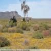 Moto Ruta breede-river-to-sutherland- photo