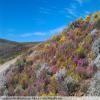 Moto Ruta breede-river-to-sutherland- photo