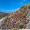 Ruta Moto breede-river-to-sutherland- photo