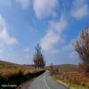 Moto Ruta 16-to-reghin- photo