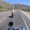 Ruta Moto mount-lemmon-highway-- photo