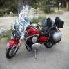 Motorcycle Traveller Avatar Image