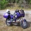 Motorcycle Traveller Avatar Image