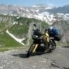 Motorcycle Traveller Avatar Image